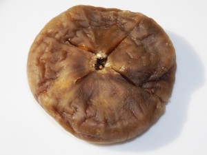 truffles_with_figs_02